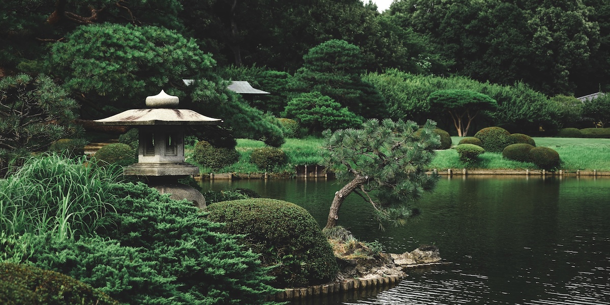 A Japanese garden signifying that nemawashi means preparing the roots